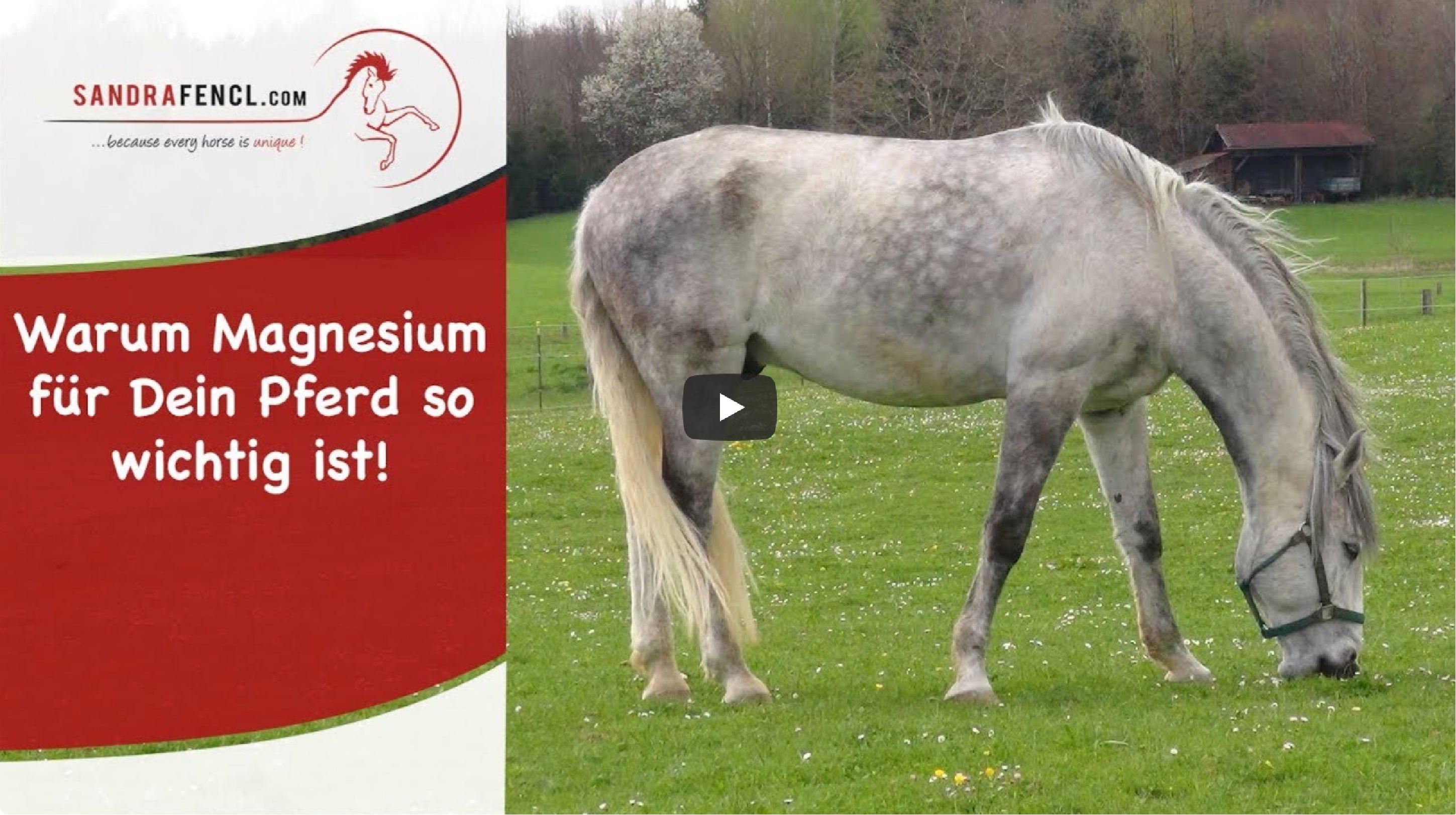 Video laden:
