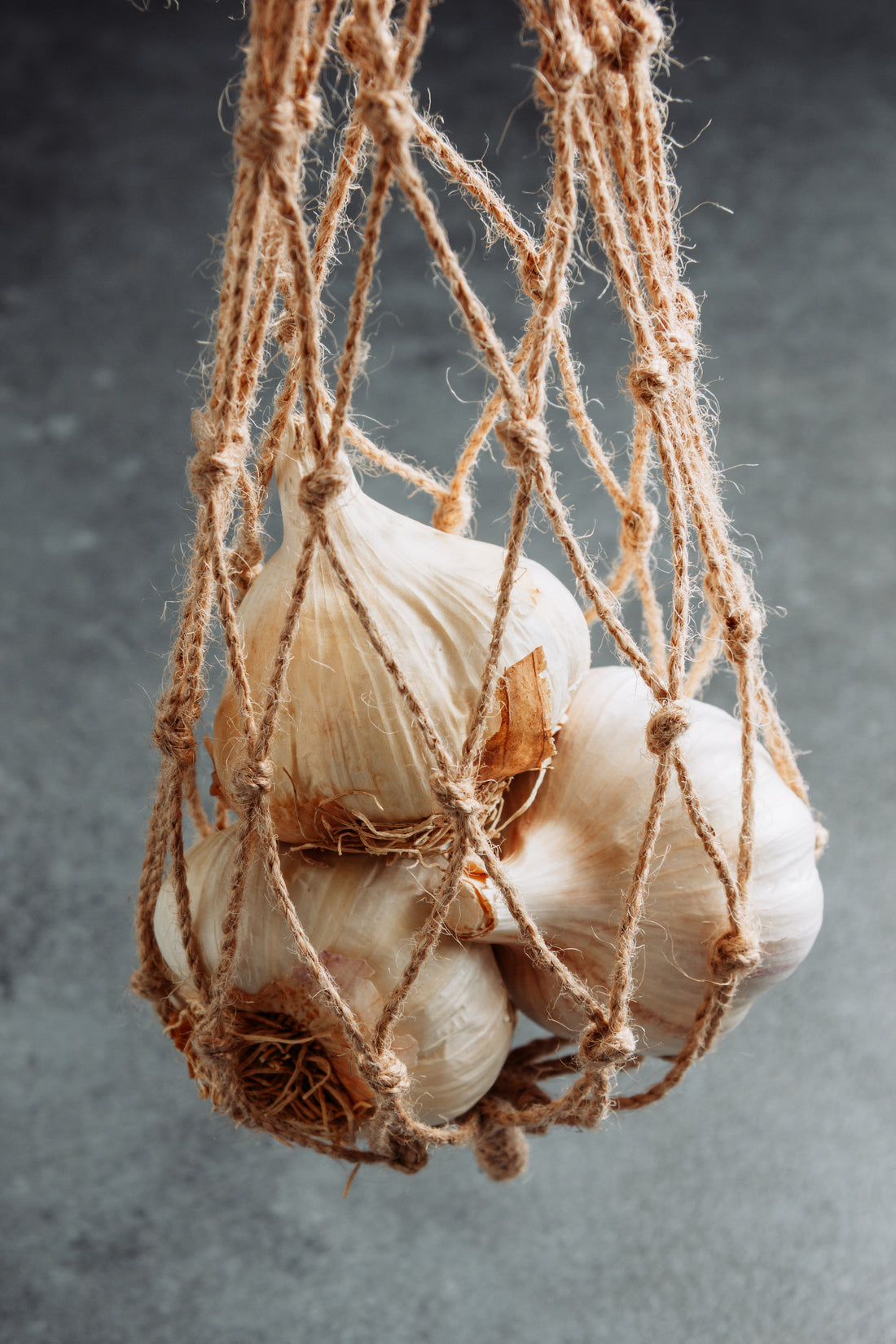 Knoblauch für Pferde