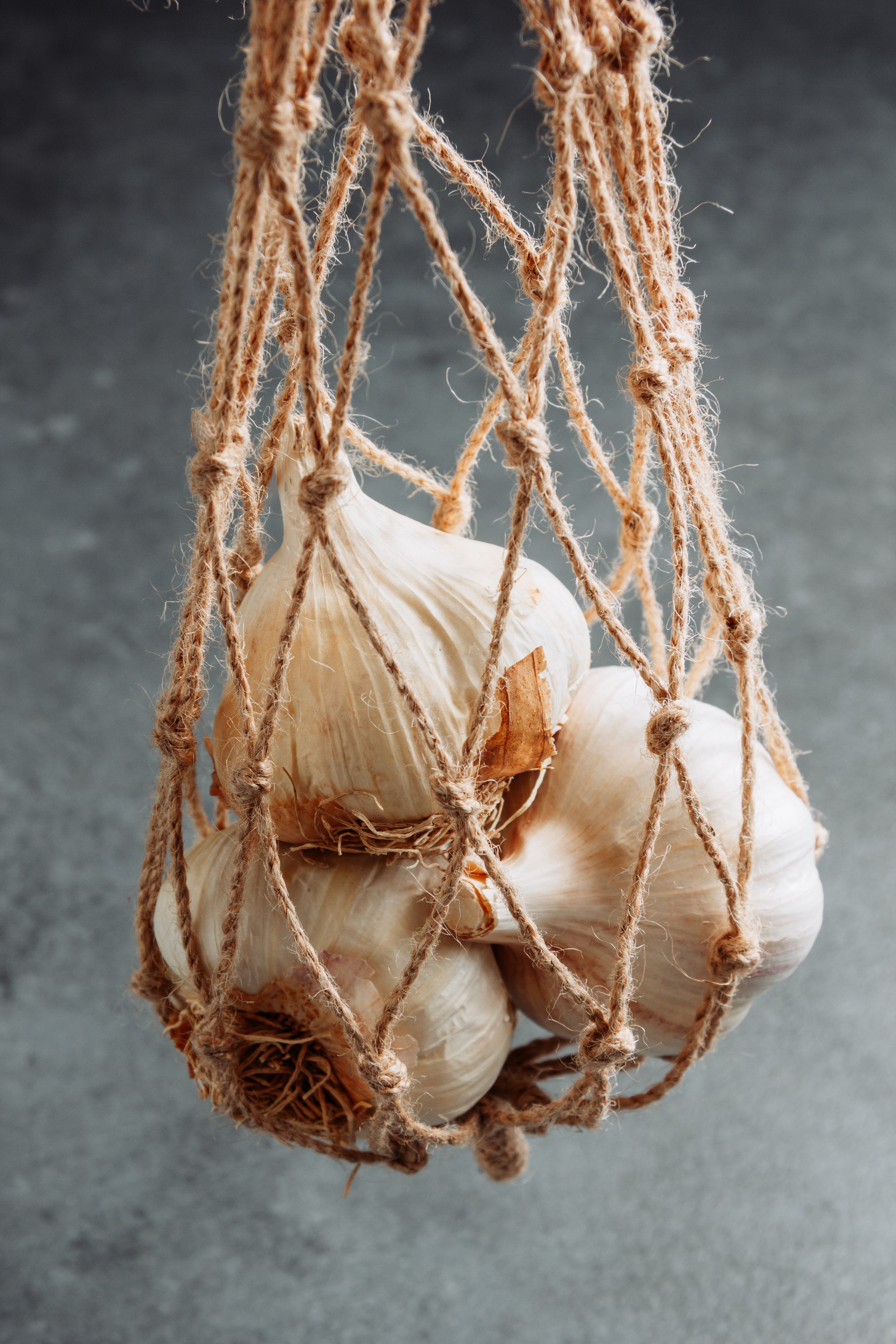 Knoblauch für Pferde