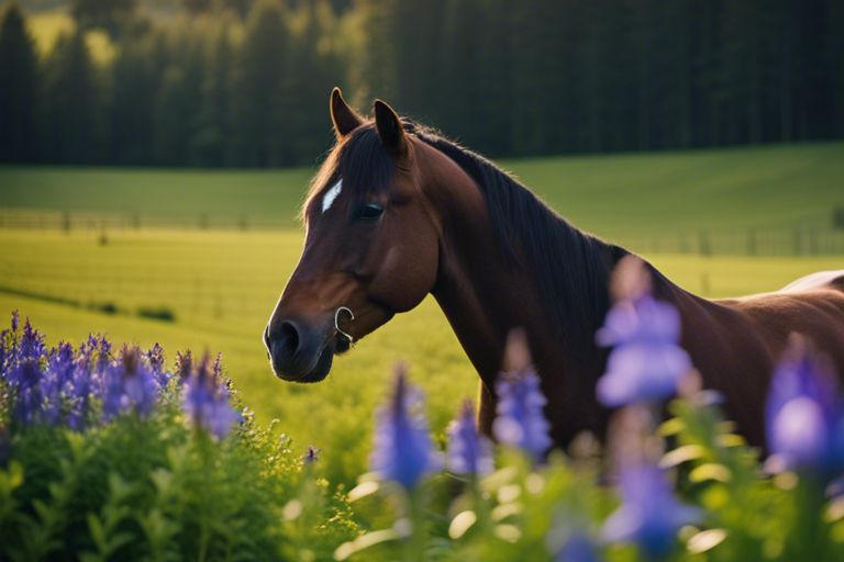 Enzianwurzel für Pferde  