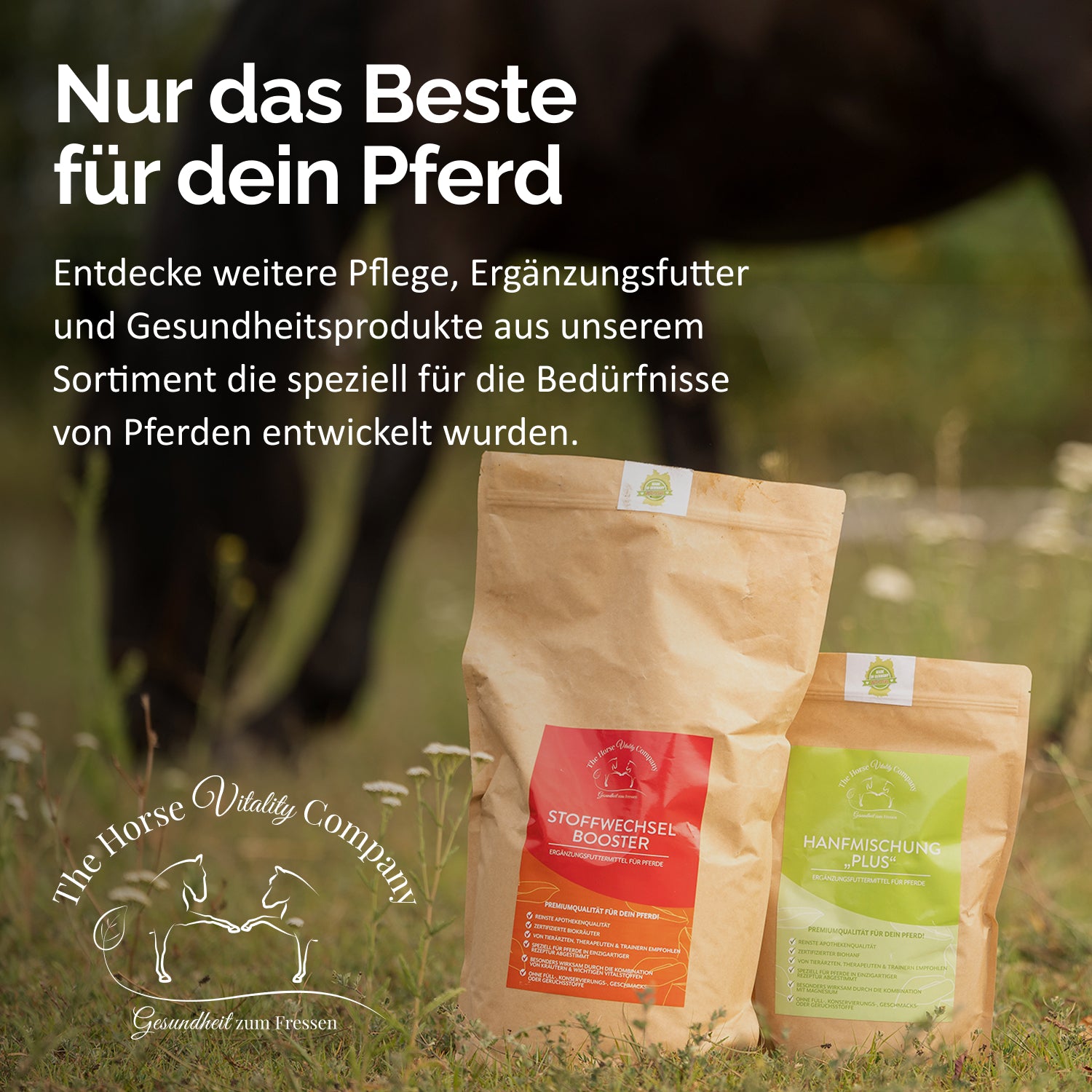 Reines Magnesium Citrat für Pferde