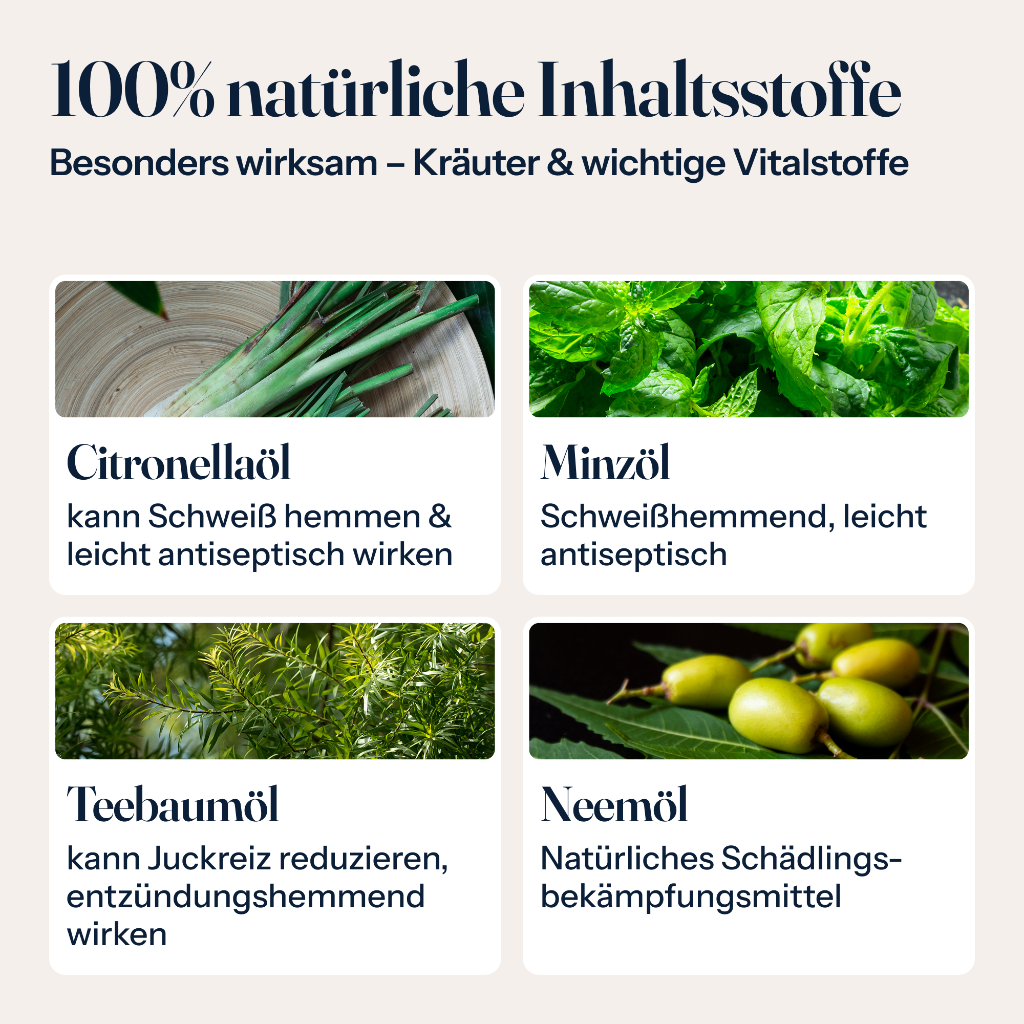 Fliegenspray für Pferde – natürlicher Schutz gegen Mücken, Bremsen & Zecken