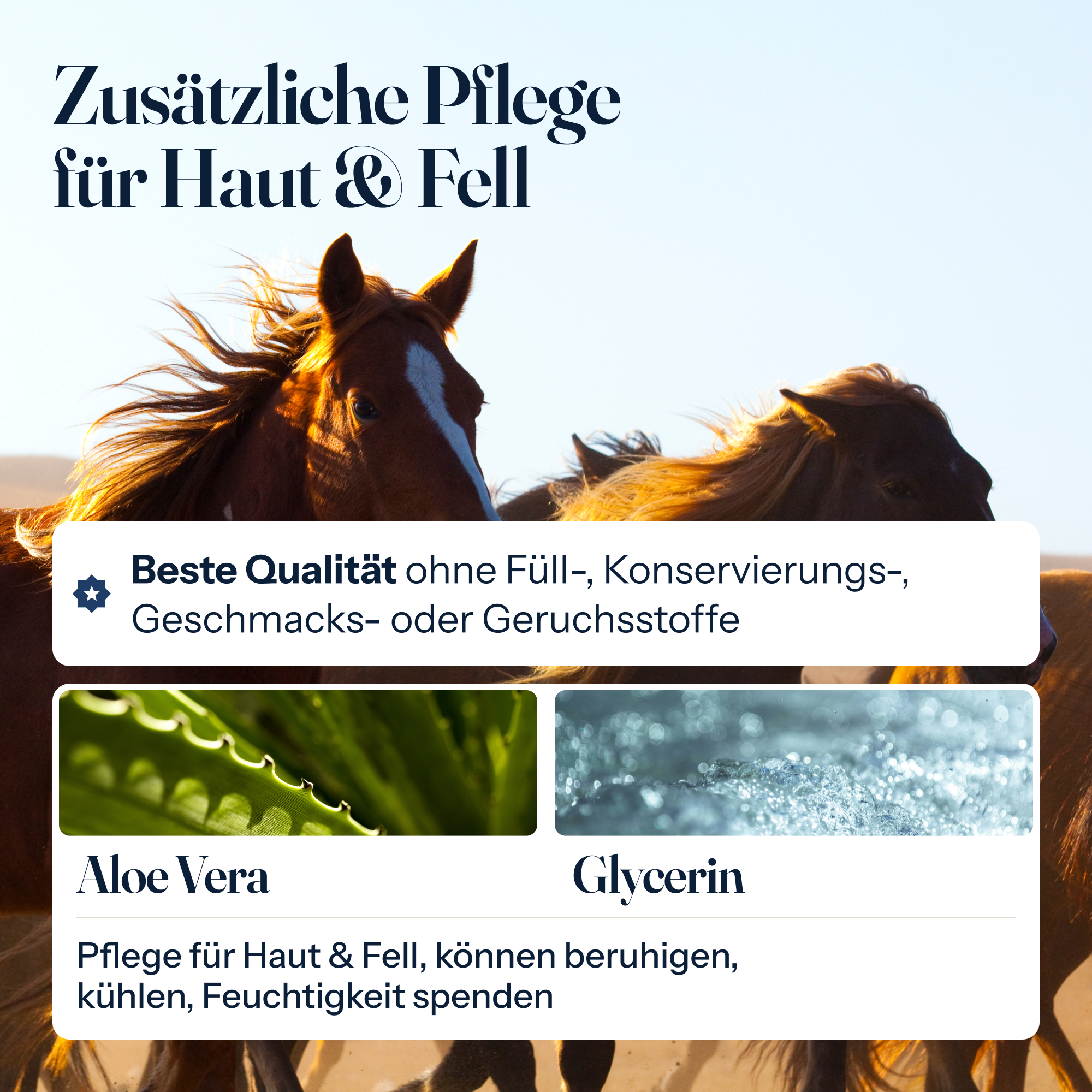 Fliegenspray für Pferde – natürlicher Schutz gegen Mücken, Bremsen & Zecken