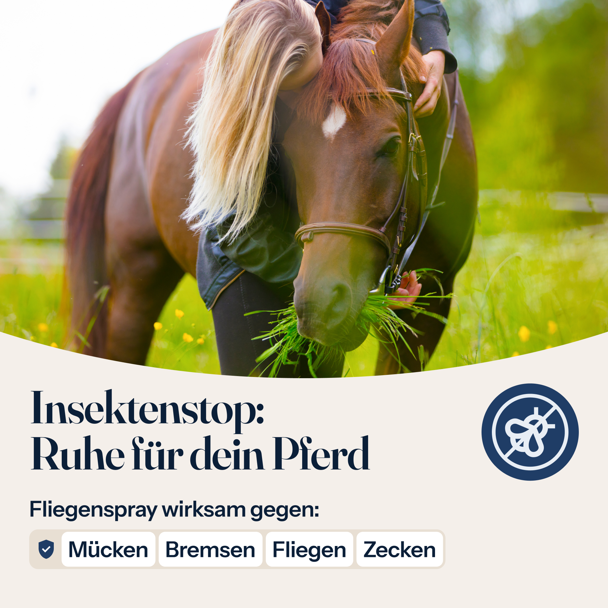 Fliegenspray für Pferde – natürlicher Schutz gegen Mücken, Bremsen & Zecken