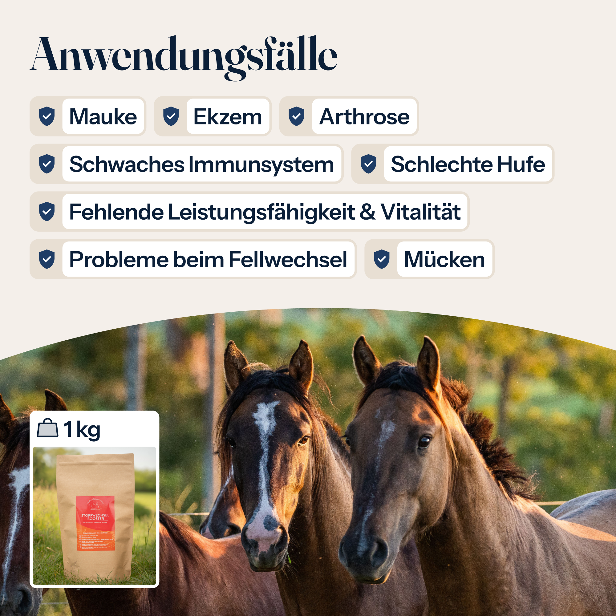 Stoffwechsel Booster für Pferde