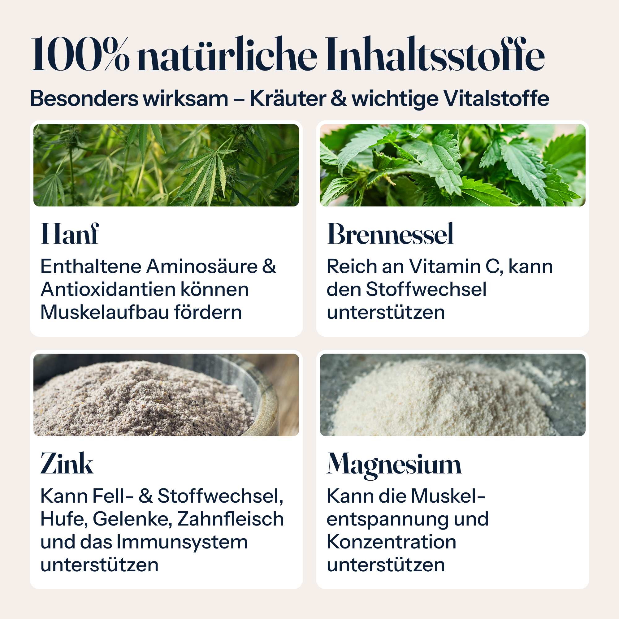 Stoffwechsel Booster für Pferde