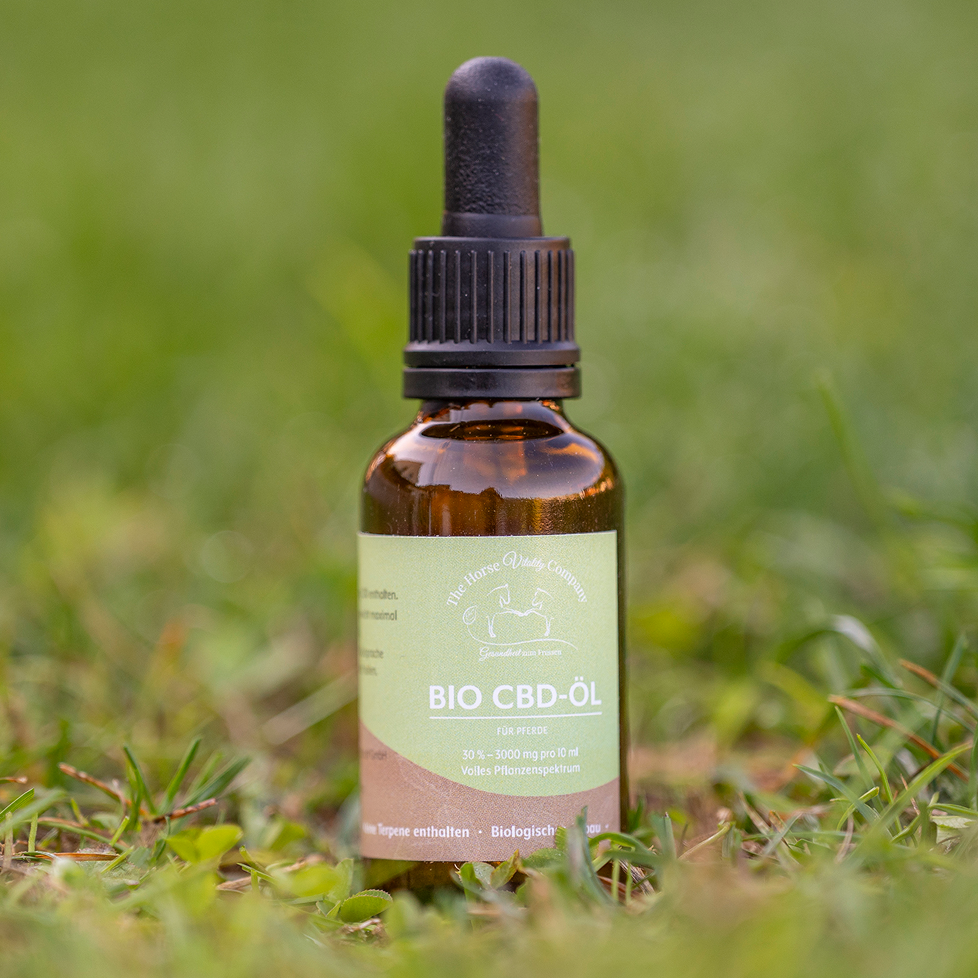 CBD Öl 30% 10ml