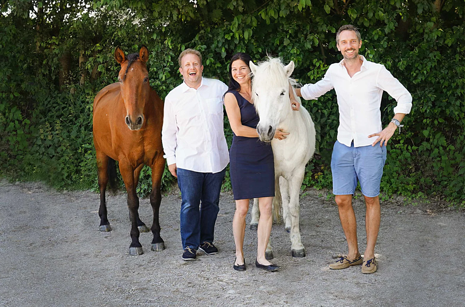 horse-vitality-company
