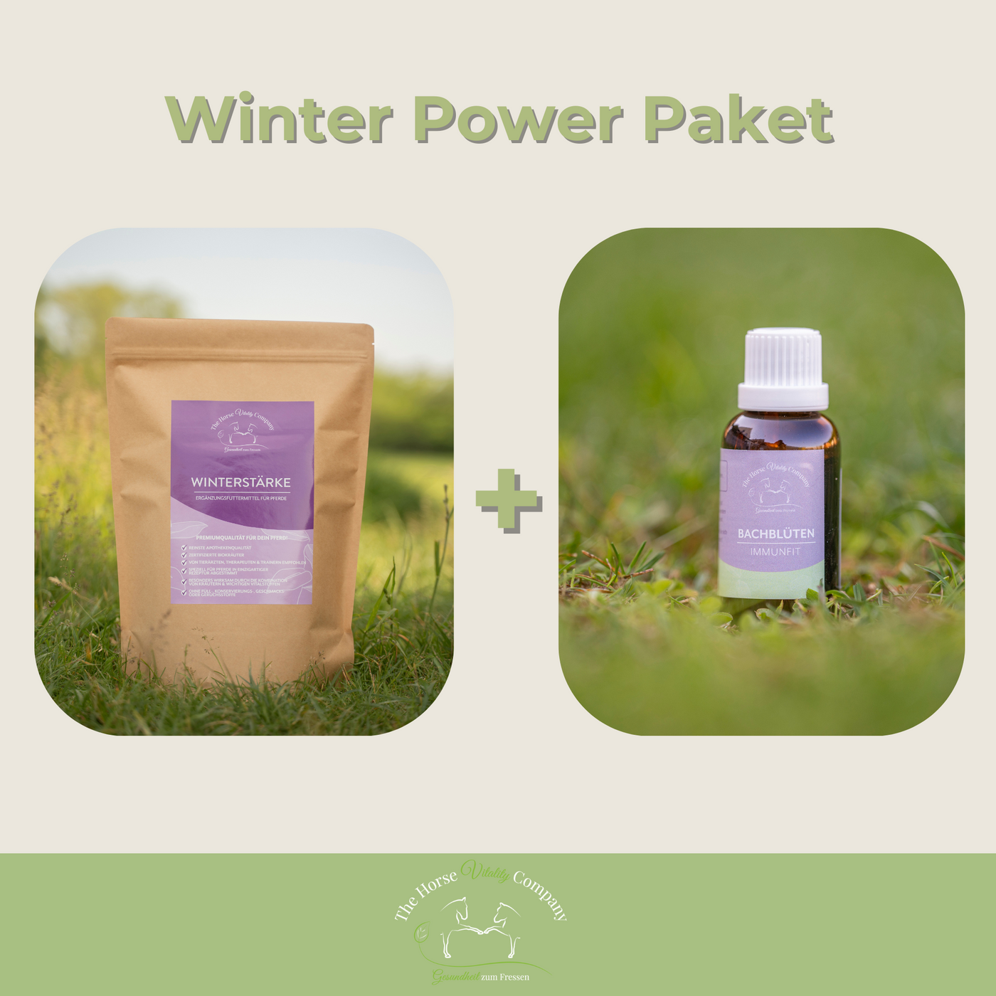 Winter-Power-Paket