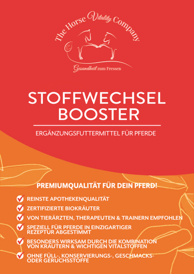 Immun Stärke / Stoffwechsel Booster Bundle -20%