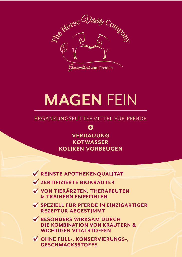 Magen/Darm & Stoffwechsel [Bundle]