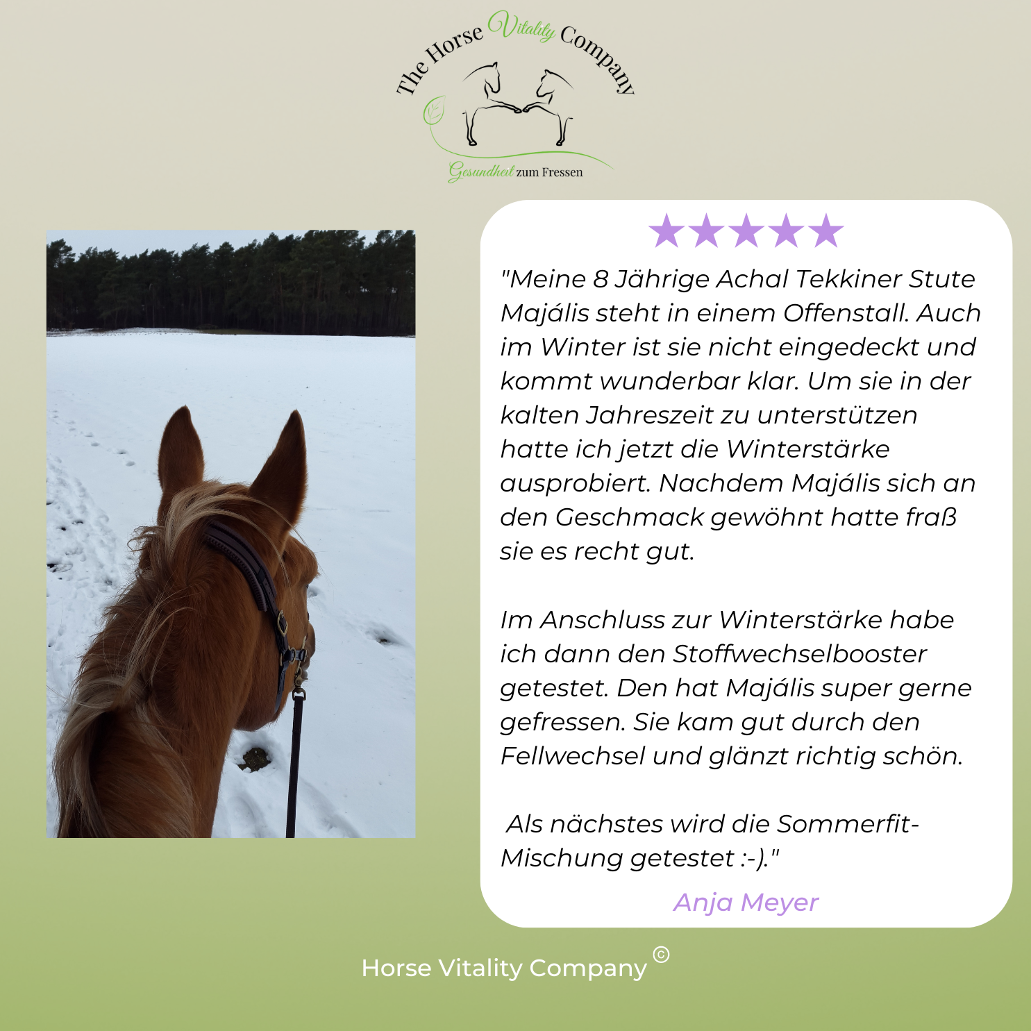 Winterstärke (Immun Stärke)