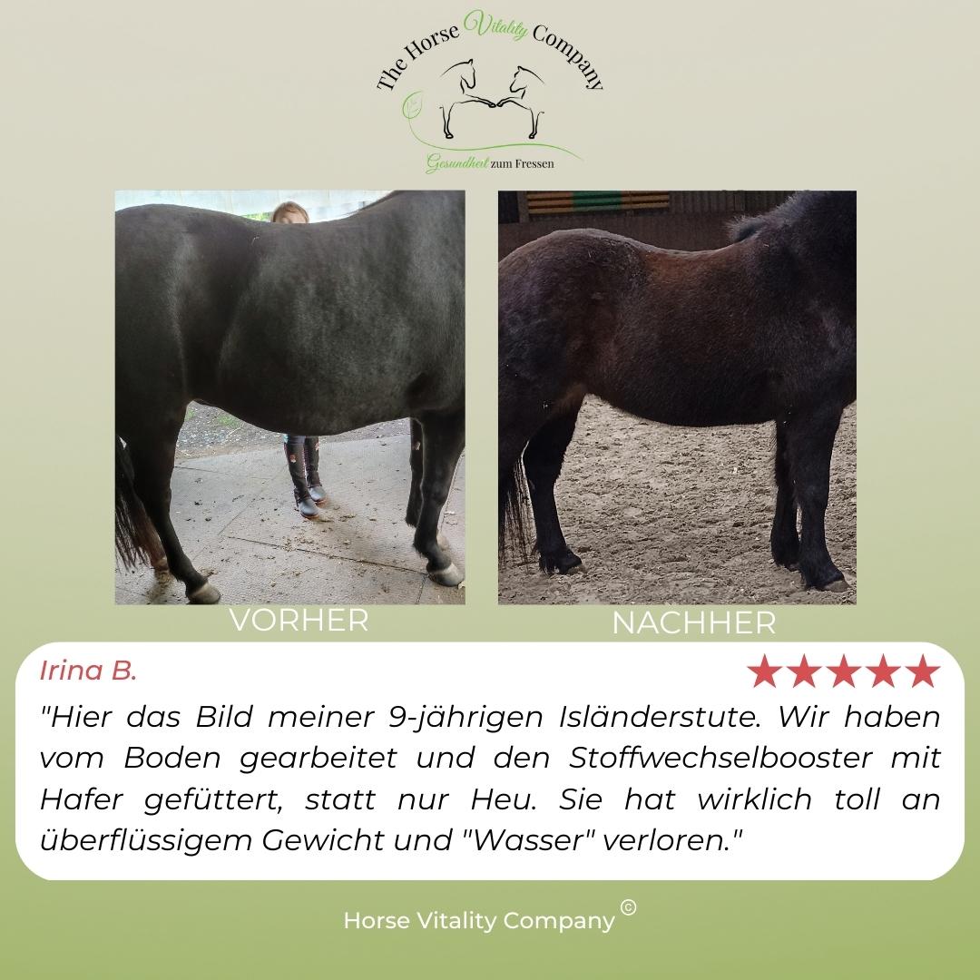 Stoffwechsel Booster für Pferde
