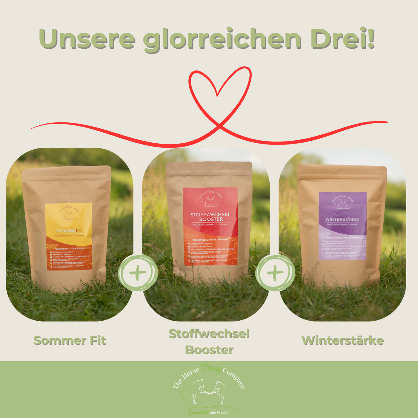 unsere glorreichen DREI