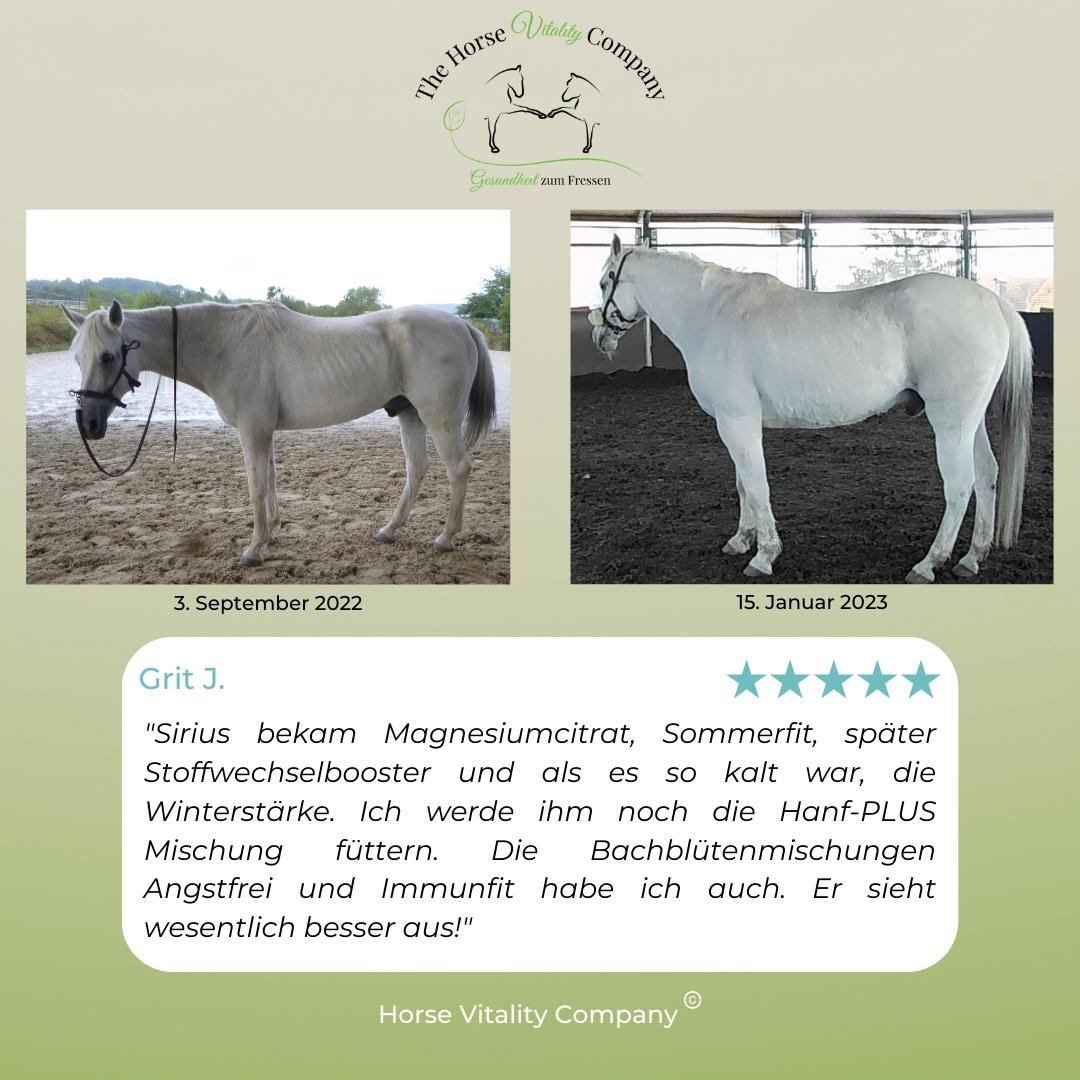 Reines Magnesium Citrat für Pferde