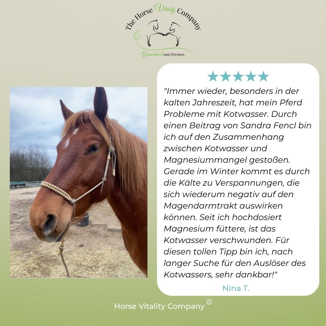 Reines Magnesium Citrat für Pferde